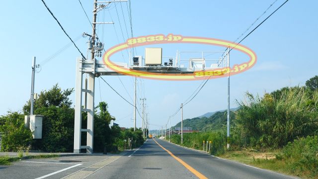 兵庫県 県道31号線 オービス