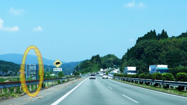 熊本県 九州自動車道路 オービス